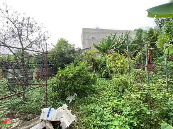 Ảnh bất động sản