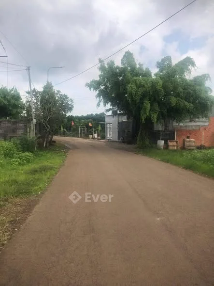 BÁN ĐẤT MẶT TIỀN NHỰA BẦU TRĂM – LONG KHÁNHDiện tích: 735m²