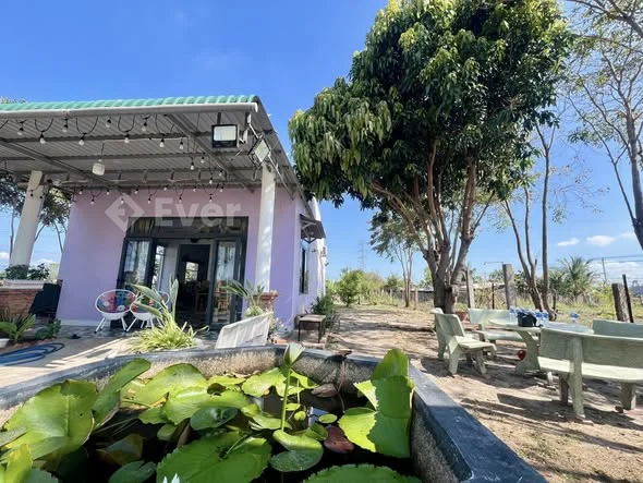 NHÀ VƯỜN ĐẸP - ĐƯỜNG Ô TÔ - PHƯỜNG HÀM THẮNG - LÂM ĐỒNG