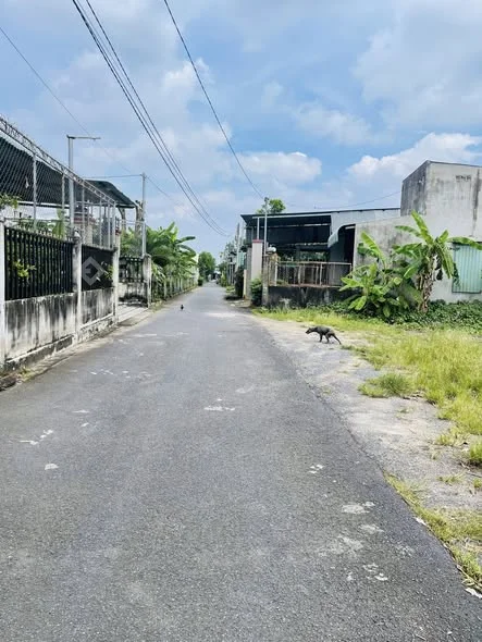 Chủ gửi bán lô đất Ấp 3 An Viễn TBom ĐNai 1/ Phùng Hưng.Đuờng nhựa thông( như hình ạ)