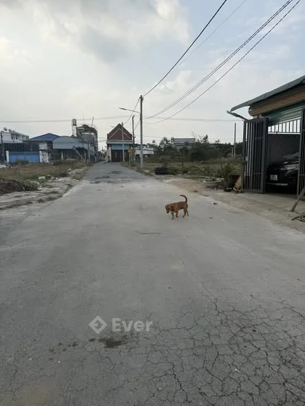 Cần ra lô đất ấp thanh bình lộc an long thành
Dt 4,2x24 sổ riêng ful thổ cư - mt đường nhựa 6m thông