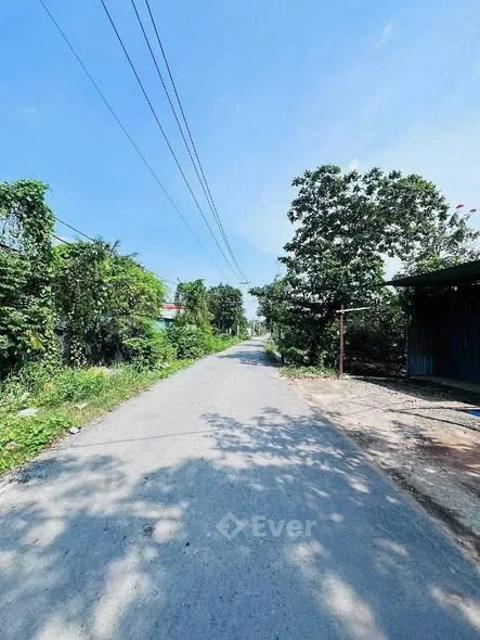 500 triệu có đất ở Bình Chánh là chuyện hoàn toàn có thật