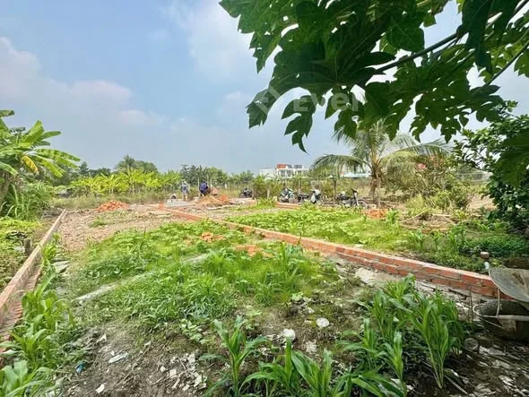 Ảnh bất động sản