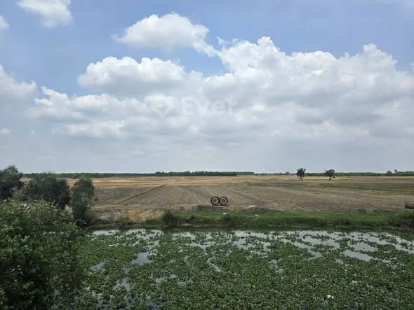 SIÊU PHẨM 13HA ĐẤT ĐỨC HUỆ – LONG AN ( phạm vi 2 đến 3.5 km đầy đủ tiện nghi)