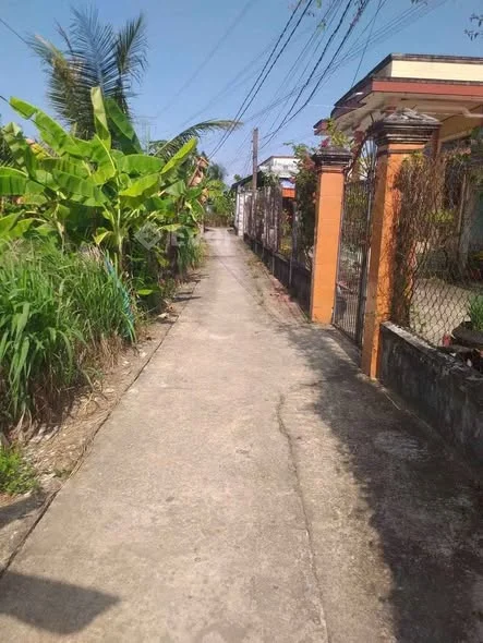 977m2 đất VƯỜN đường oto, ở ấp 5, Hòa Phú, Châu Thành, Long An• Đất cách BV Sản Nhi Long An