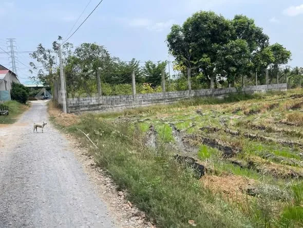 Ảnh bất động sản