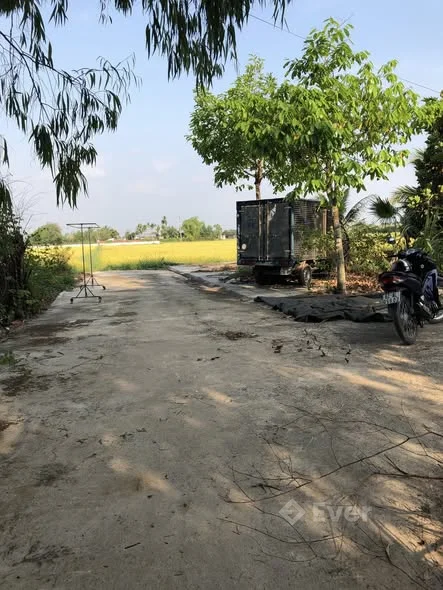 Chủ gửi: 2 lô đất liền kề 1100m2 đất lúa. Sổ Hồng riêng. Đường xe tải tới đất.