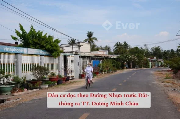 319tr là có lô đất mặt nhựa kinh doanh thoải mái!5x20, lộ giới 5m còn 5x15 full thổ!