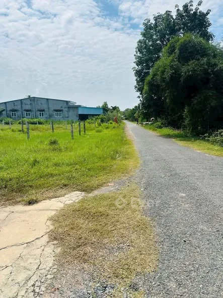 Chủ gửi 2 lô liền kề 5 x 35m tại ấp Phước Đông, Phước Thạnh, Tây Ninh 590TR1.