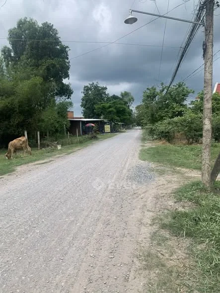 Hoà Bình 1 - Hiệp Hòa - Tây Ninh Dt: 7×26 cạnh 28 ( 180m² ONT) SHR. - Cách chợ Rạch Thiên 300m