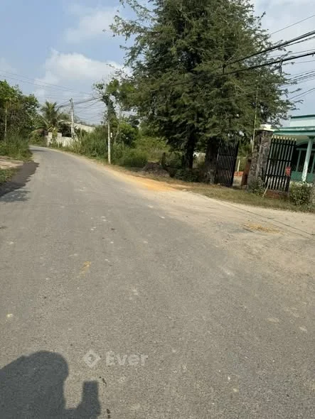 Bến Long - Hậu Nghĩa (Tân Mỹ cũ) - Mặt tiền đường nhựa Bến Long. thông tứ hướng xung quanh nhà cửa