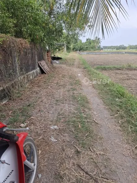 V223) Bán 1920 m2 Đất TạiKhu phố Lộc Khê, phường Gia Lộc, tinh Tây Ninh - 2,75 tỷ - 1920m²