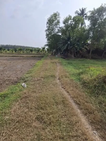 V223) Bán 1920 m2 Đất TạiKhu phố Lộc Khê, phường Gia Lộc, tinh Tây Ninh