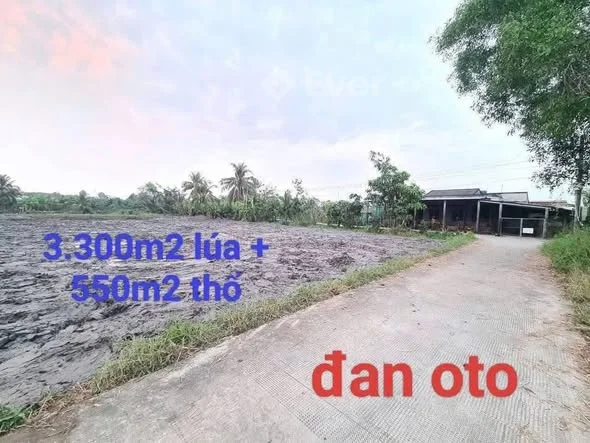 Chủ cần bán 3.850m² đất – sát chợ Kỳ Sơn Thuộc Vĩnh Công, Châu Thành, Long An