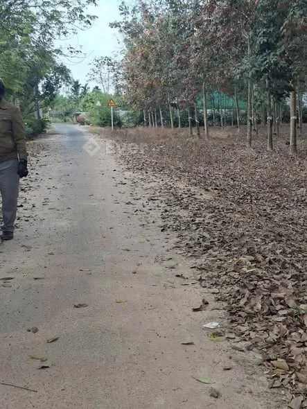 T11)BÁN 1,7MẪU ĐẤT CÁCH ĐƯỜNG NHỰA 60M Ở ẤP THẠNH HÒA, XÃ THẠNH BÌNH, TỈNH TÂY NINH - 1,3 tỷ - 60m²