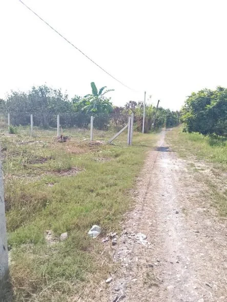 Cần bán đất vườn, hẻm 16 Nguyễn Lương Bằng, chạy vào 500m.KP Trường Đức - P Long Hoa