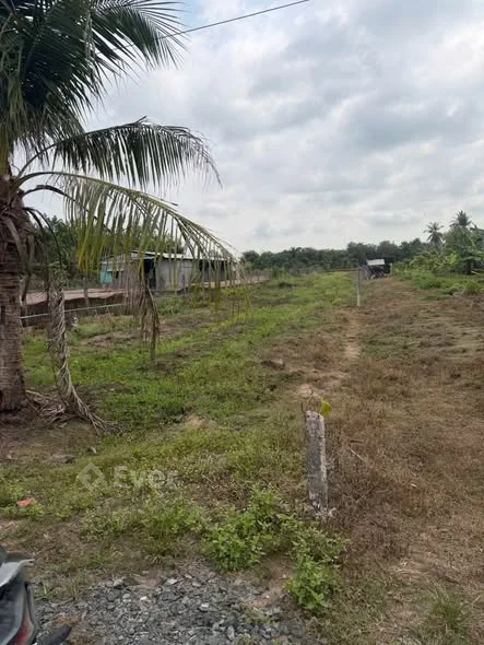 Cần ra gấp đất Trường Xuân Hòa Thành Tây Ninh cách nhựa lớn 50 m. - 460 triệu - 1000m²