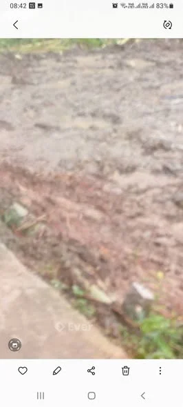 Giá 450tr, đất CLN 16m x 42m, ấp phú Thạnh, xã Phương Thạnh, Càng Long, cặp đường dal có đường điện