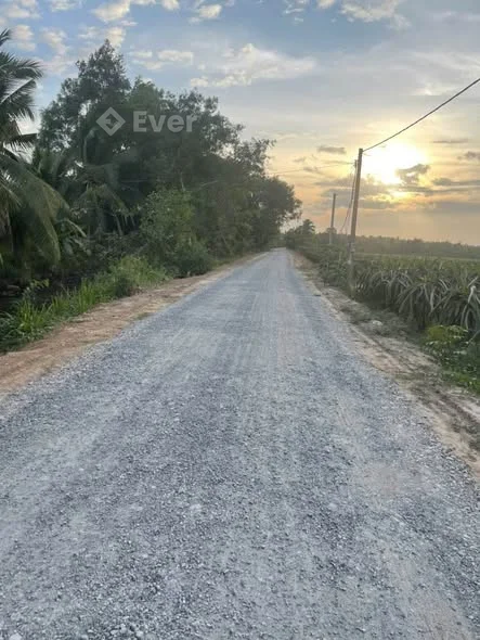 MUA ĐẤT CÓ THU NHẬP NGAY Đất vườn 15.270m2 đất mặt tiền nhựa địa chỉ ấp giồng bèn -xã huyền hội