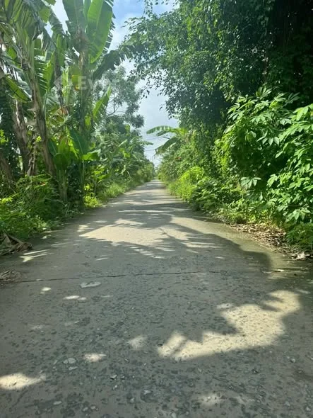 Bán 2 nền liền kề ấp Đa Cần, xã Hòa Thuận, CT TV củ ( nay thuộc khóm Đa Cần, phường Hoà Thuận - 490 triệu - 130m²