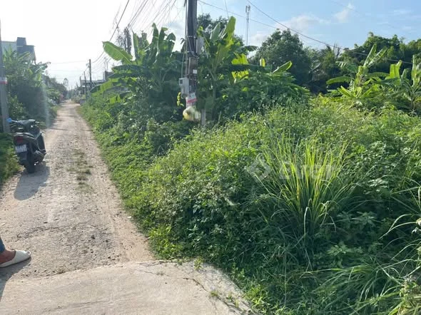 ĐẤT NHÁNH 3 DUY KHỔNG – HÒA LỢI Hẻm thông ra kênh Hòa Lợi – khu dân cư hiện hữu