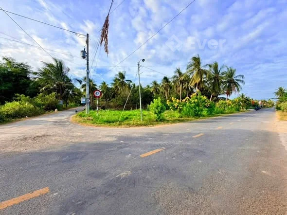 Góc 2 mặt tiền Hương lộ 14 – cách chợ Hoà Lợi chỉ 300m Diện tích: 517m² (138m² thổ cư & 379m² lúa)