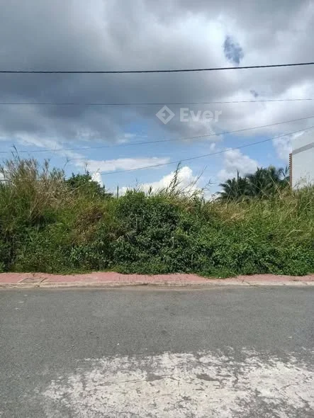 Bán Đất Mặt Tiền Ngô Quốc Trị Nối Dài
Đất nền cao ráo, rộng thoáng nằm trục thẳng đường Ngô Quốc Trị