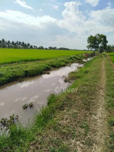 Cơ hội cho ace thích trồng lúa.Bán 3.290m2 đất trồng lúa