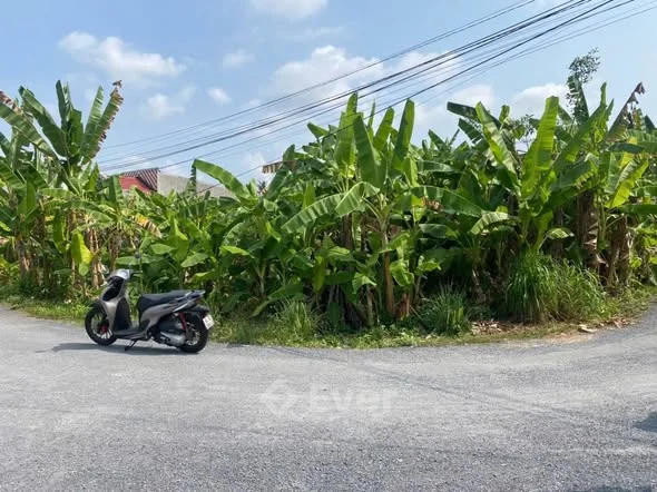 Ncc - nền gốc 2 mặt tiền đường . Trung tâm p3 . Siêu đẹp . Full thổ . Dt 280m . Giá 16tr