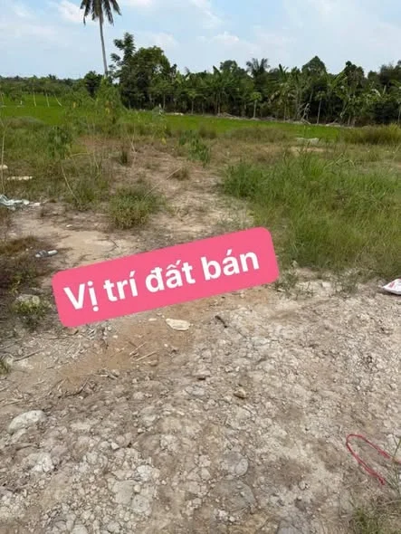 2nền thổ cư Hoà Tịnh, Mang ThítLộ nhựa 5 tấn, gần chợ Long Hồ 5p chạy xe - 320 triệu - 104m²