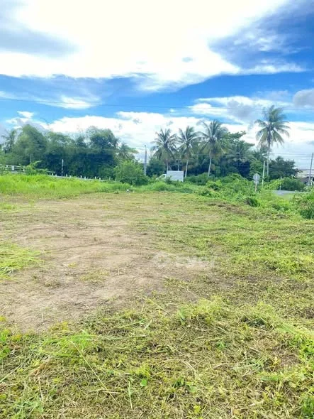 ĐẤT Ở MẶT TIỀN TL 909 – LONG HỒGần chợ, trường học, bệnh viện – sinh hoạt cực tiện