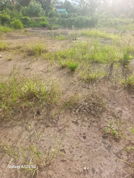 xã Tân Long Hội, Vĩnh Long. Vị trí : gần quốc lộ, gần các công ty, xí nghiệp. Mặt tiền đường dal