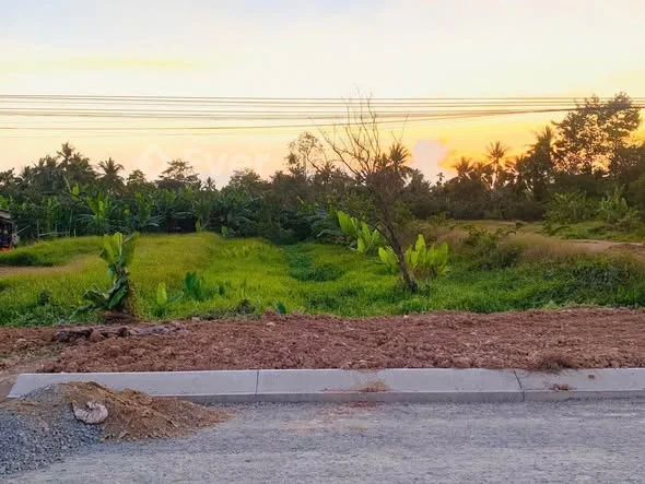 HÀNG THƠM ĐẦU TƯKế bên QL1A cách KCN Bình Minh 200mMỹ Hòa, Bình Minh, Vĩnh Long - 4,38 tỷ - 398.2m²