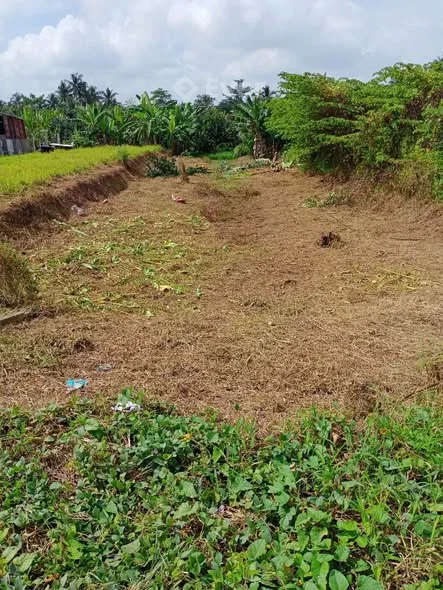 HÀNG THƠM ĐẦU TƯKế bên QL1A cách KCN Bình Minh 200mMỹ Hòa, Bình Minh, Vĩnh Long