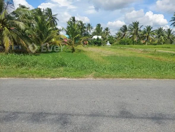 MẶT TIỀN 907 VŨNG LIÊMDiện tích 611,5m2 (13x48) Trung Thành Đông, Vũng Liêm, Vĩnh Long - 1,01 tỷ - 611.5m²