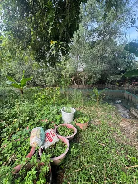 NỀN BIỆT THỰ VIP TRUNG TÂM PHƯỜNG 2 NGAY TRƯỜNG MẦM NON Diện tích 348m2( 183,2m2 Thổ)