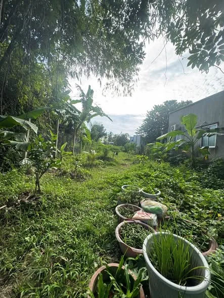 NỀN BIỆT THỰ VIP TRUNG TÂM PHƯỜNG 2 NGAY TRƯỜNG MẦM NON Diện tích 348m2( 183,2m2 Thổ)