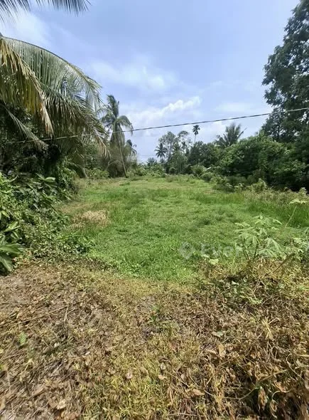 Chỉ 295tr Nền Hòa Hiệp, Tam Bình197mv giáp Lộ nhựa 5 tấn, cách đường 904 chỉ 1,5km