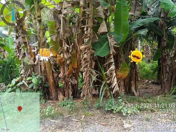 Ảnh bất động sản