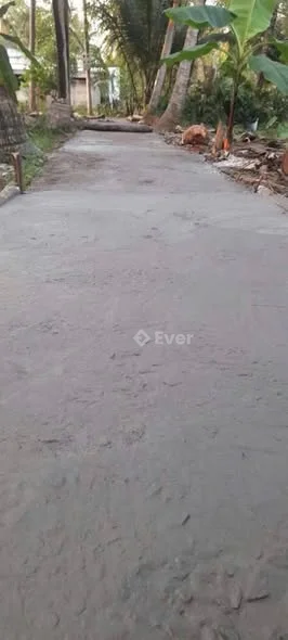 TTCChủ Cần Bán đất thuộc Sơn Đông, TP Bến TreDt :687m2 ngan 16,5m - 650 triệu - 687m²