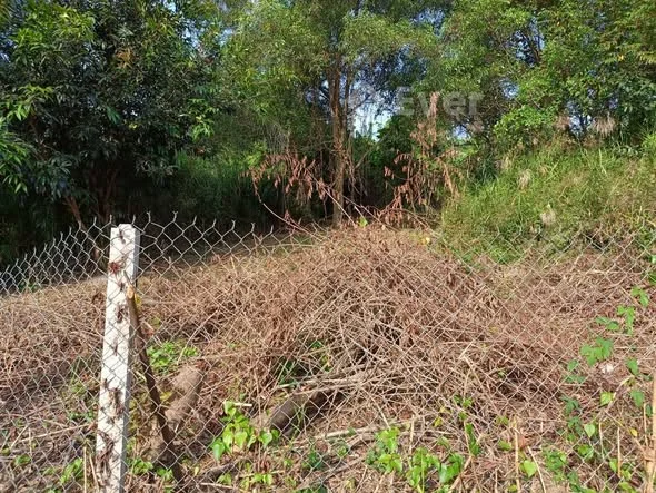 2 nền khu chú Chính, đường ô tô, khu dân cư đông đúc thuộc khóm Phú Hoà , Phường Long Đức