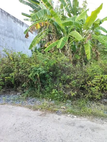 Bán nền ngang 10m mặt tiền dank oto nhánh Nhà trọ Quốc Tiền hẻm đá hoa cương Nam Cường thông ra hẻm - 1,44 tỷ - 200m²