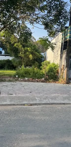 Bán Đất Mặt Tiền Đường Nguyễn Du – Khóm 4, P8, TP. Trà Vinh (cũ)Diện tích: 6 x 25m128m² thổ cư