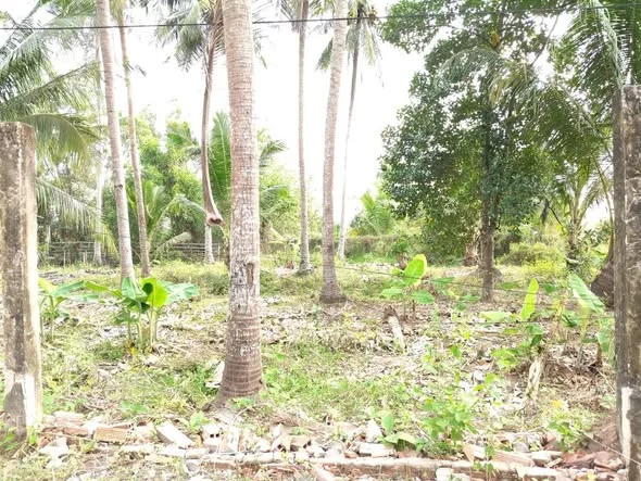 Chính chủ cần bán đất mặt đường dank ấp Bích Trì, Phường Hoà Thuận - 550 triệu - 23.5m²