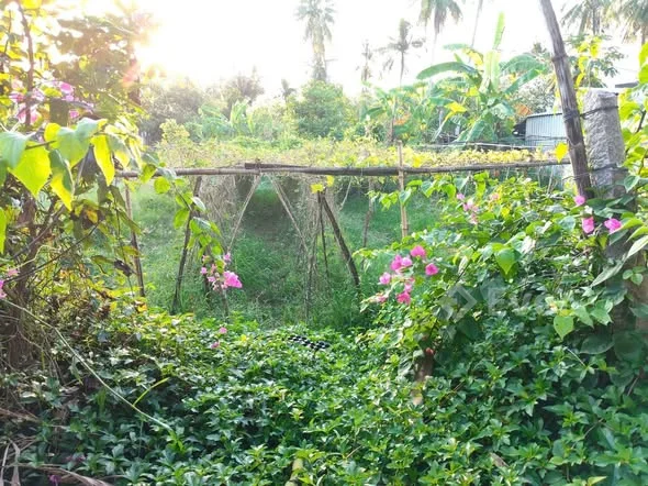 ĐẤT MẶT TIỀN NHỰA, ĐƯỜNG LÀNG NGHỀ PHƯỜNG 4. _DIỆN TÍCH 13,8 X20M đất cln _GIÁ 1,5 TỶ thương lượng