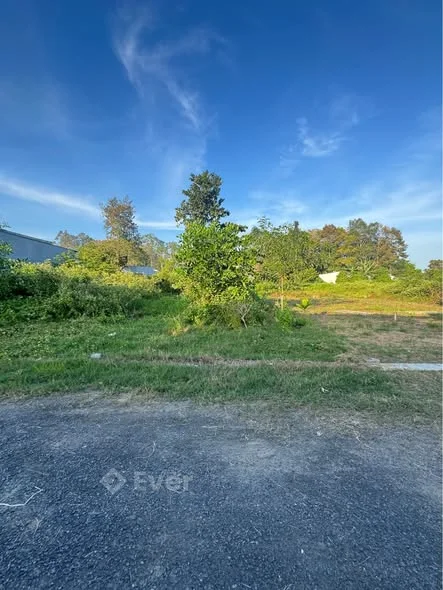 BÁN NỀN NHÁNH ÔTÔ 6m TRỤC THẲNG. ĐƯỜNG SƠN THÔNG GẦN NHÀ NGHĨ HÀ MI