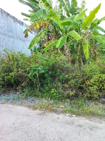 Nhánh Nam Cường - Hẻm Ô Tô - Hẻm Thông Nam Cường - Cây Xăng Tân Tân , Đường Cầu Vòng