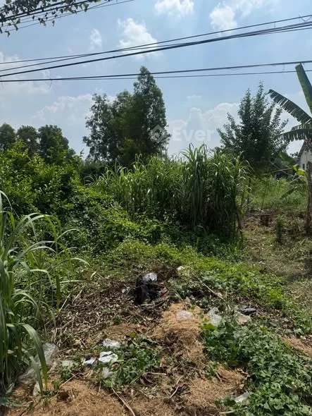 Bán Đất Mặt Tiền Đương Hương Lộ 16Bàu Sơn, Đa Lộc, Châu Thành, Trà Vinh (Vĩnh Long)