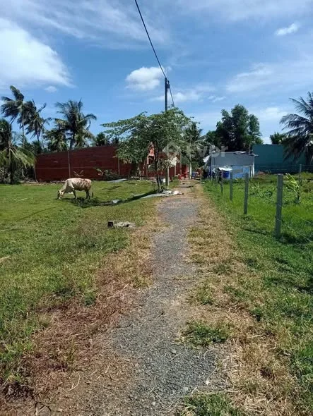 Bán đất mặt tiền đường đá 4m khu phân lô Thanh Long, ấp Phú Hòa, Long Đức, tp Trà Vinh.