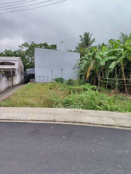 Bán đất mặt tiền đường Thạch Ngọc Biên, đoạn giữa cách đường 3B và đường Sơn Thông chỉ 50m